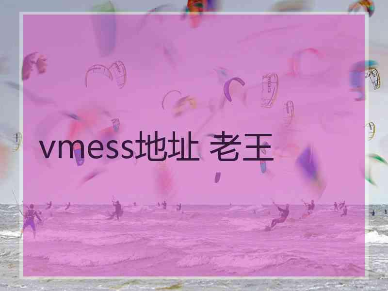 vmess地址 老王