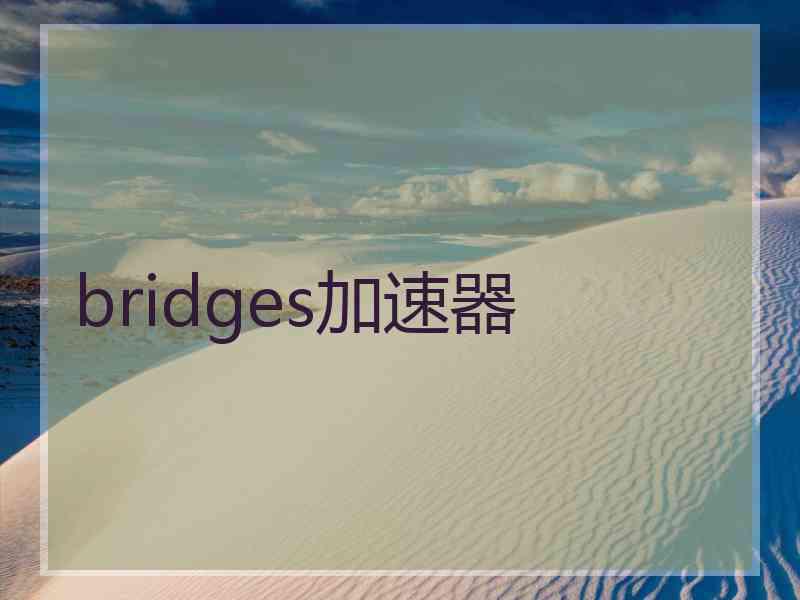 bridges加速器