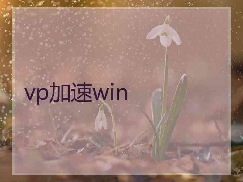 vp加速win