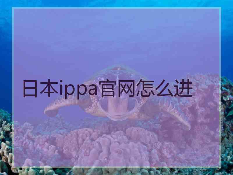 日本ippa官网怎么进