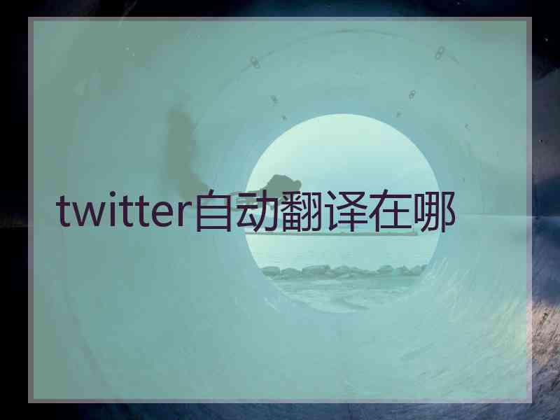 twitter自动翻译在哪