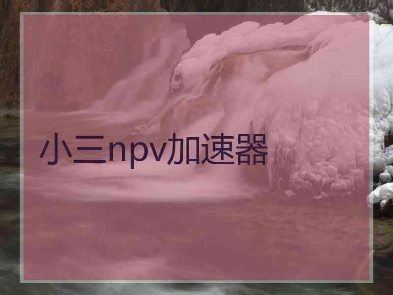 小三npv加速器