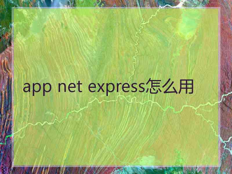 app net express怎么用