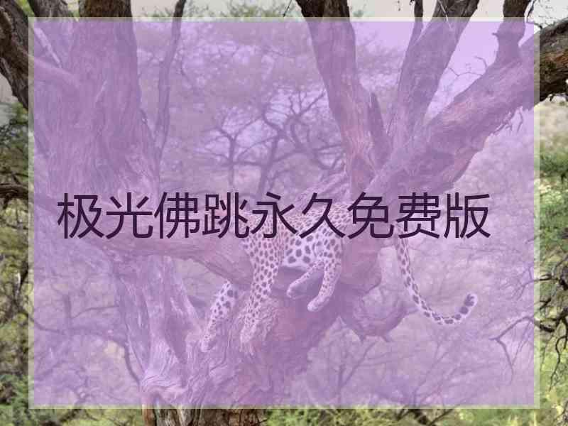 极光佛跳永久免费版