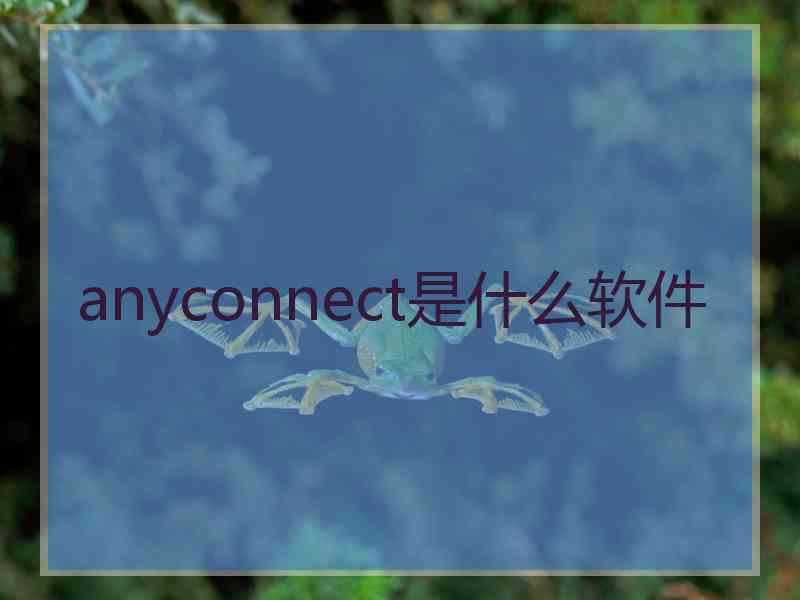 anyconnect是什么软件