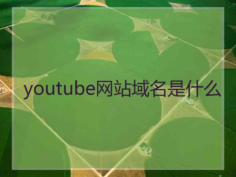 youtube网站域名是什么