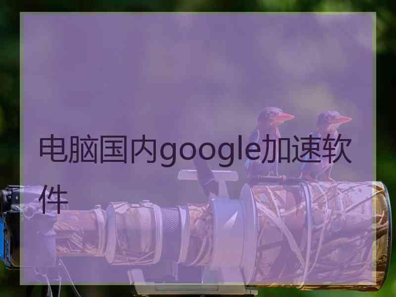 电脑国内google加速软件