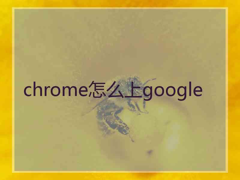 chrome怎么上google