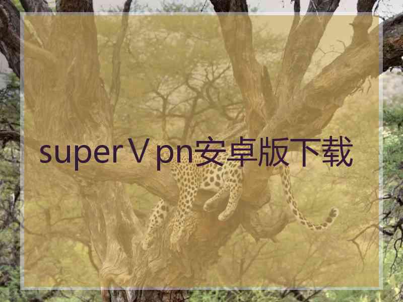 superⅤpn安卓版下载