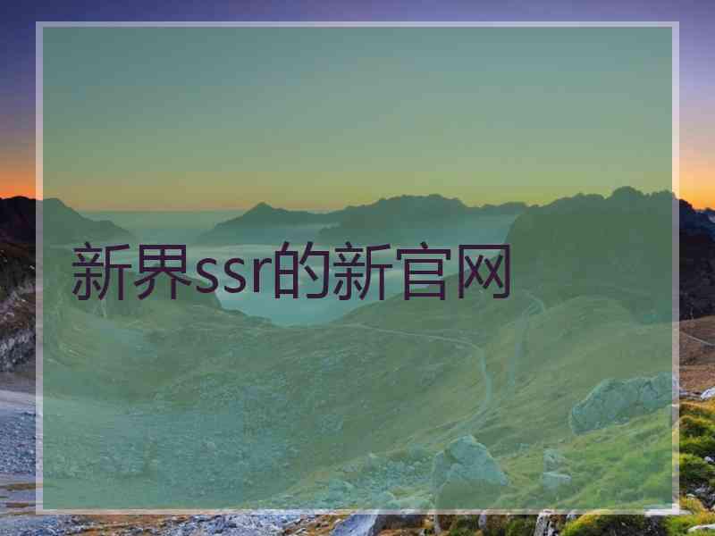 新界ssr的新官网