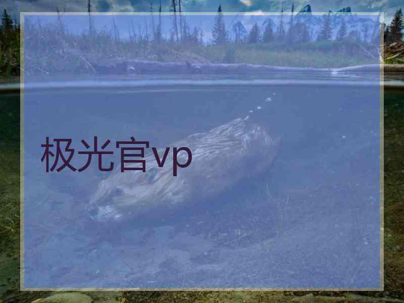 极光官vp