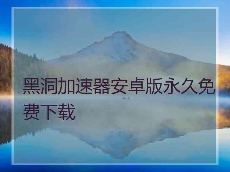 黑洞加速器安卓版永久免费下载
