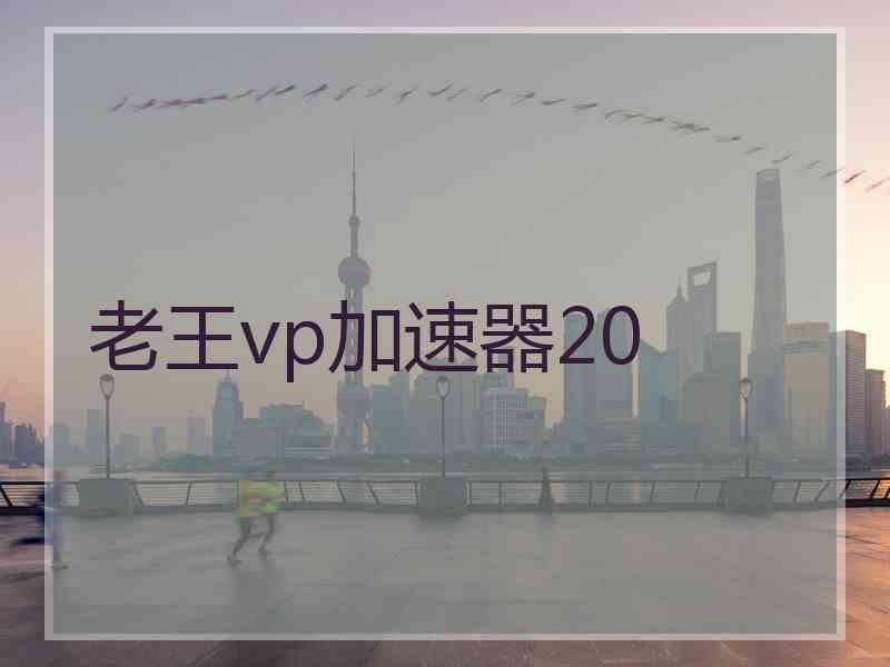 老王vp加速器20