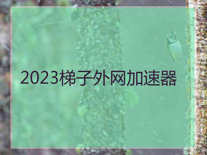 2023梯子外网加速器