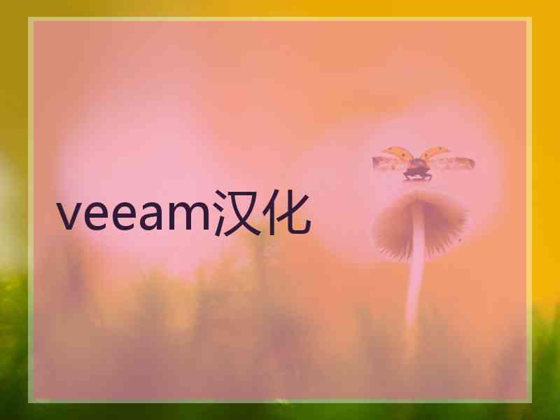 veeam汉化