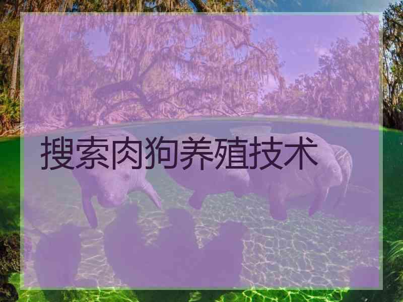 搜索肉狗养殖技术