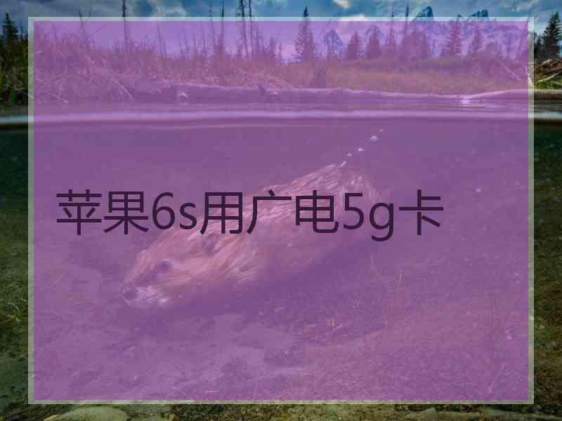 苹果6s用广电5g卡