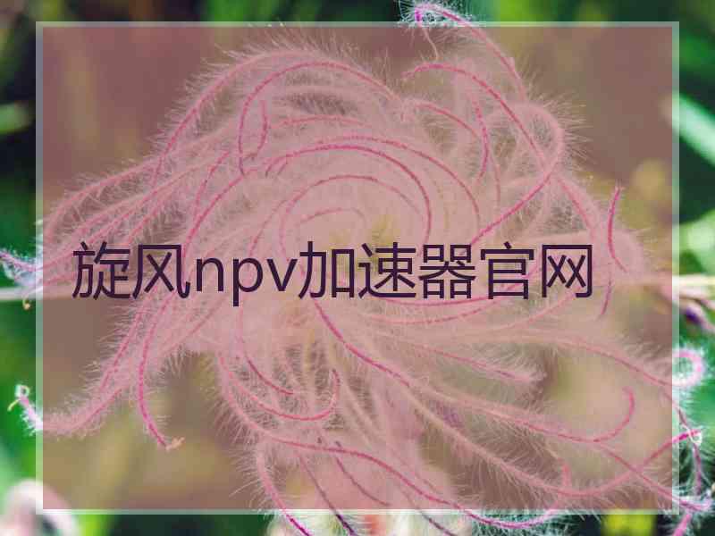 旋风npv加速器官网