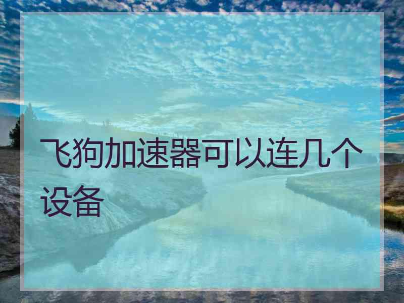 飞狗加速器可以连几个设备