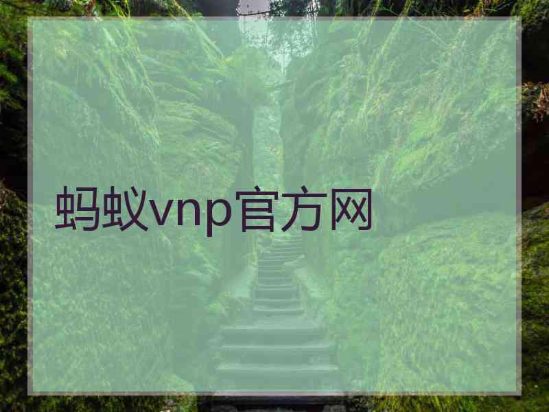 蚂蚁vnp官方网