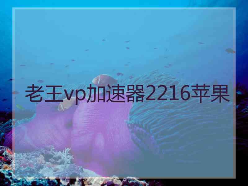 老王vp加速器2216苹果