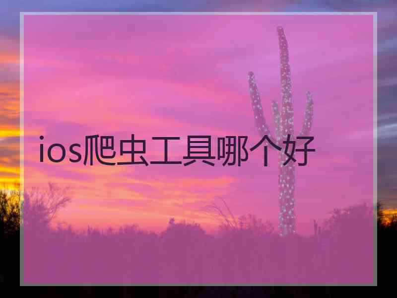 ios爬虫工具哪个好