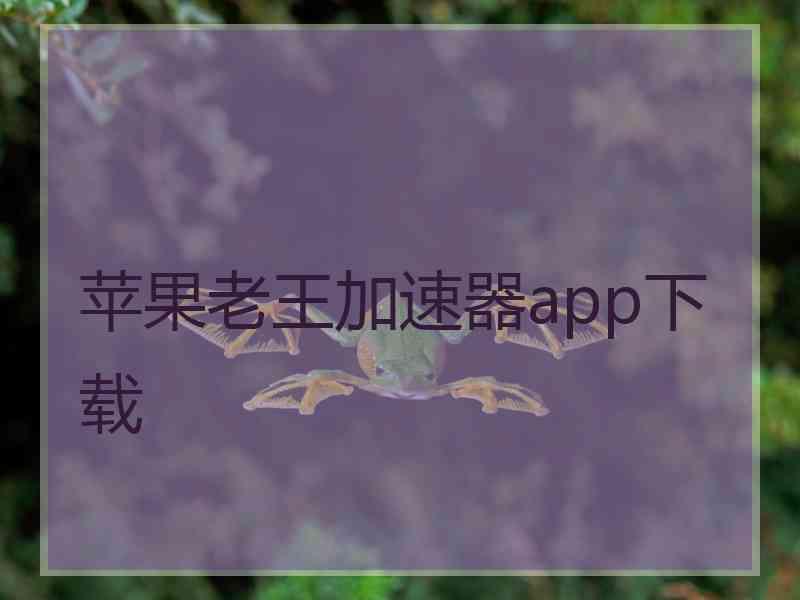 苹果老王加速器app下载