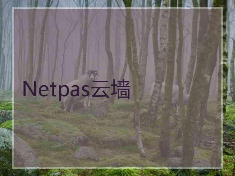 Netpas云墙