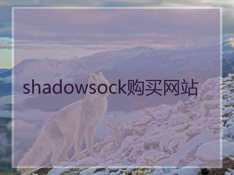 shadowsock购买网站