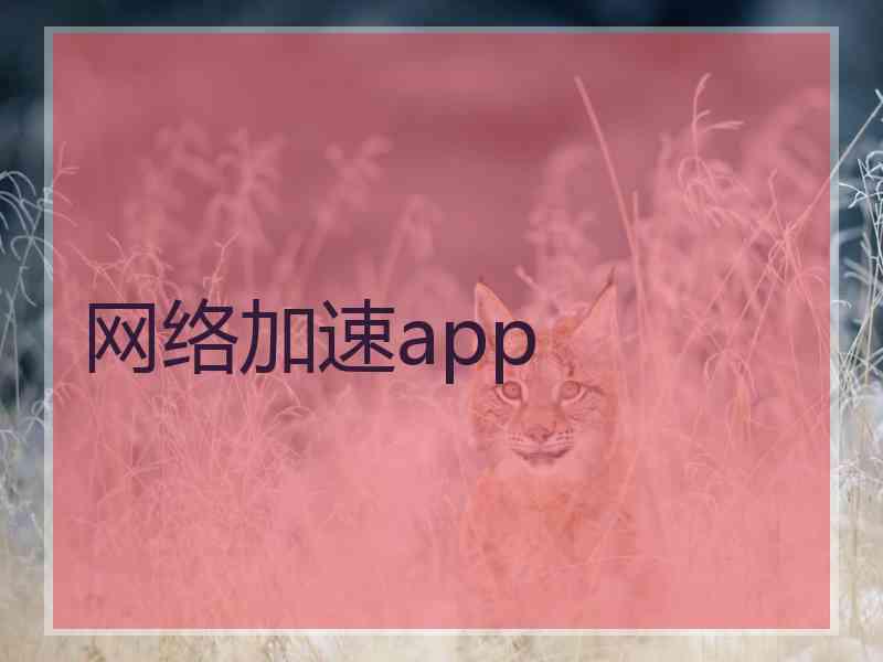 网络加速app