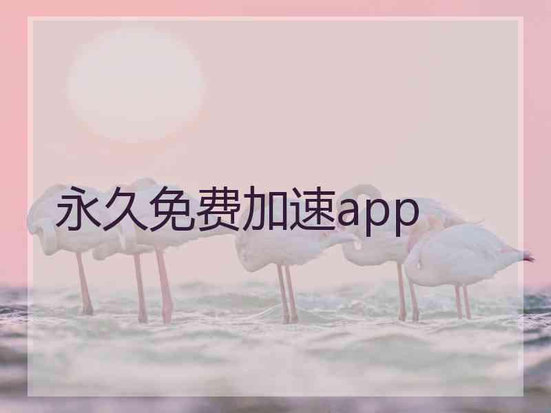 永久免费加速app