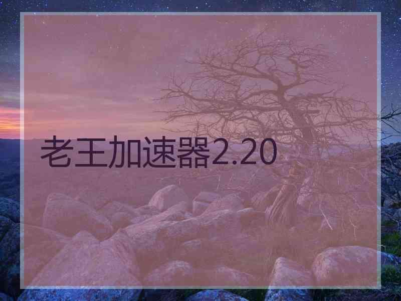 老王加速器2.20