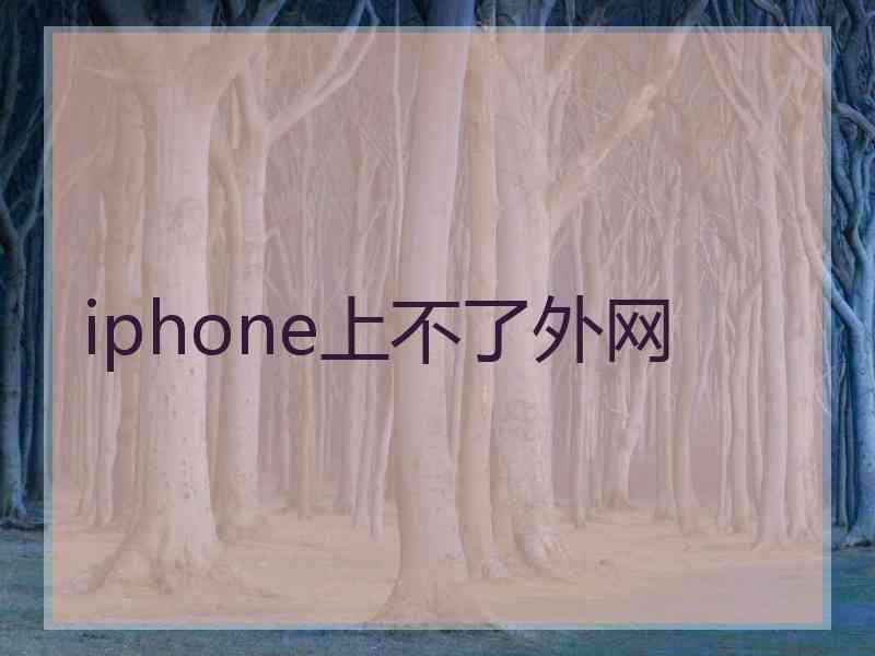 iphone上不了外网