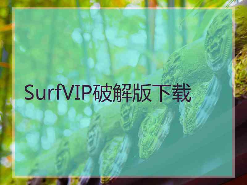 SurfVIP破解版下载