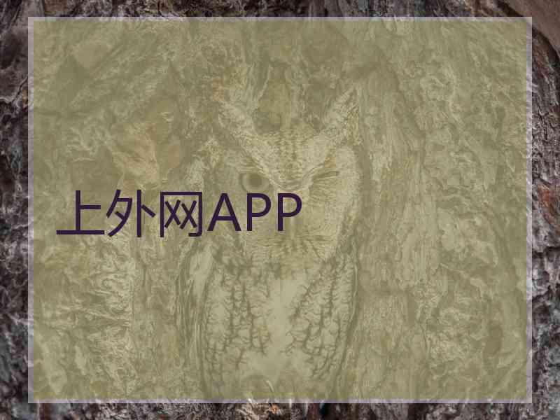 上外网APP