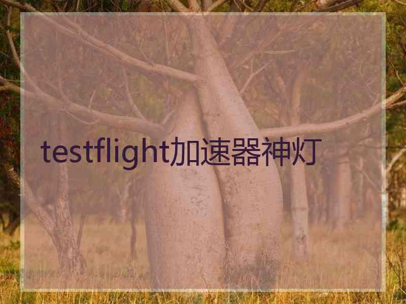 testflight加速器神灯