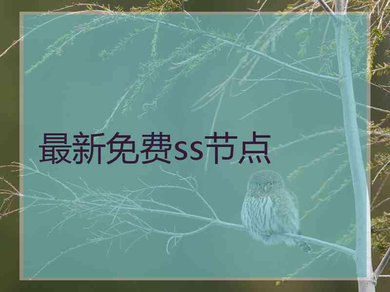 最新免费ss节点