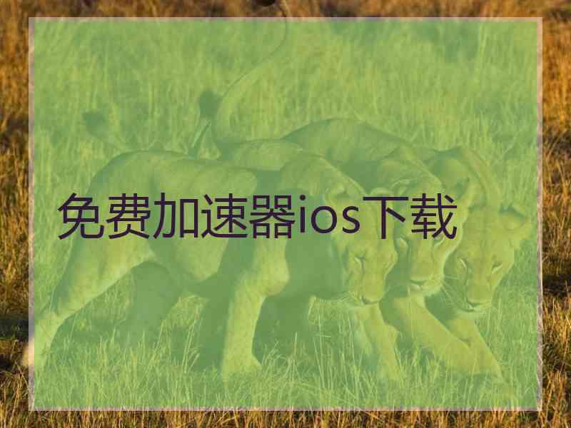 免费加速器ios下载