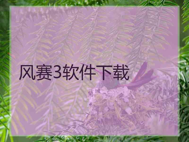 风赛3软件下载