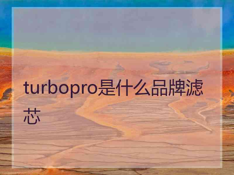 turbopro是什么品牌滤芯