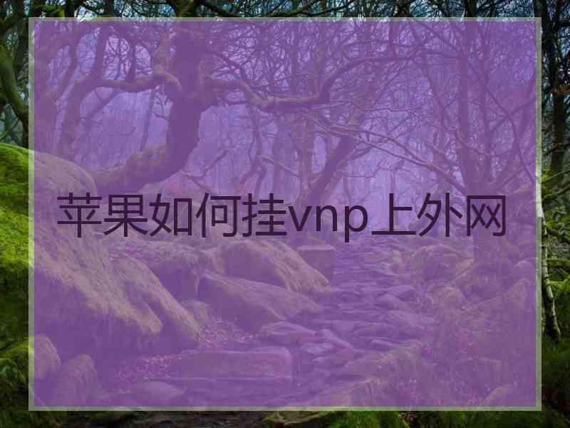 苹果如何挂vnp上外网