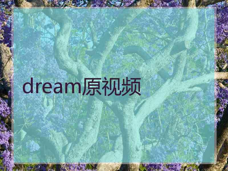 dream原视频
