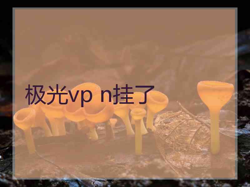 极光vp n挂了