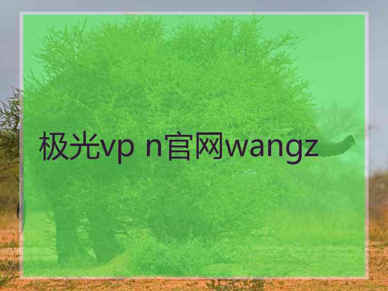 极光vp n官网wangz