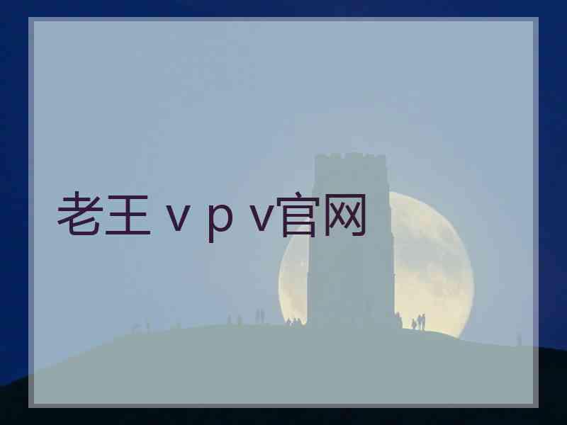 老王 v p v官网