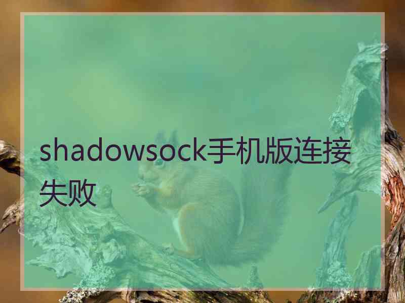 shadowsock手机版连接失败