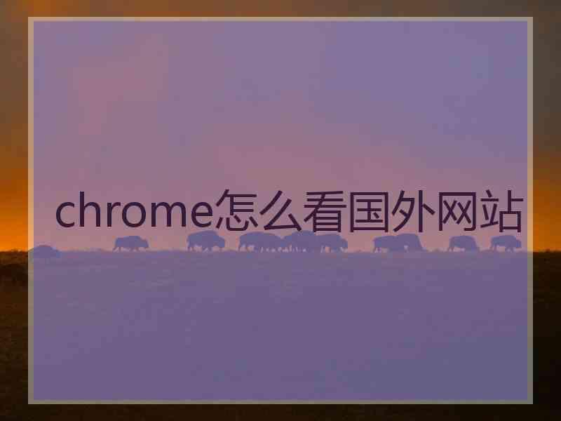 chrome怎么看国外网站