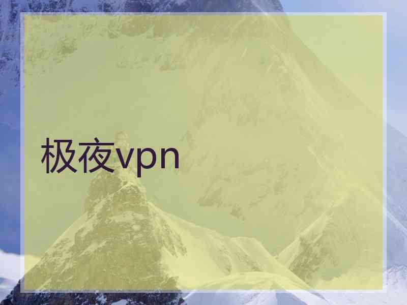 极夜vpn