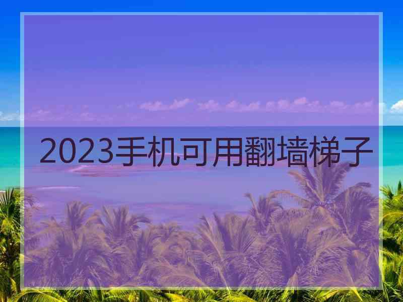 2023手机可用翻墙梯子