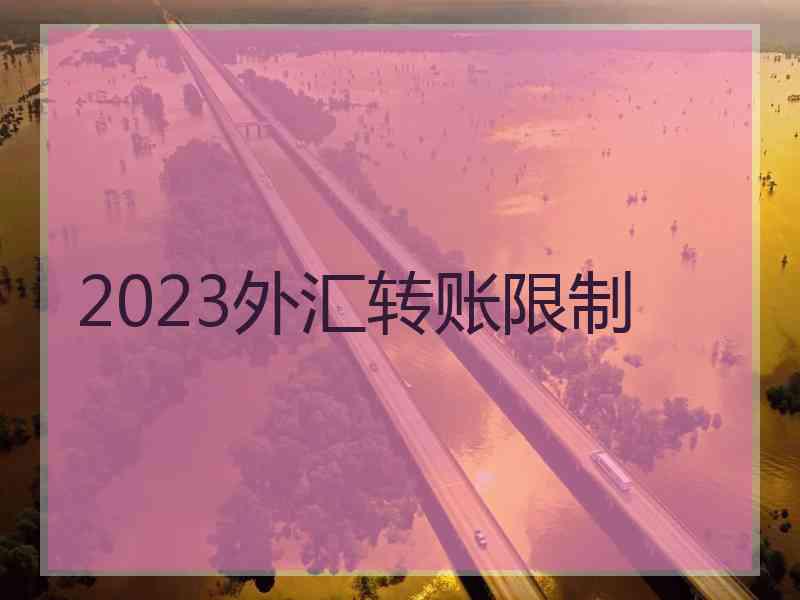 2023外汇转账限制